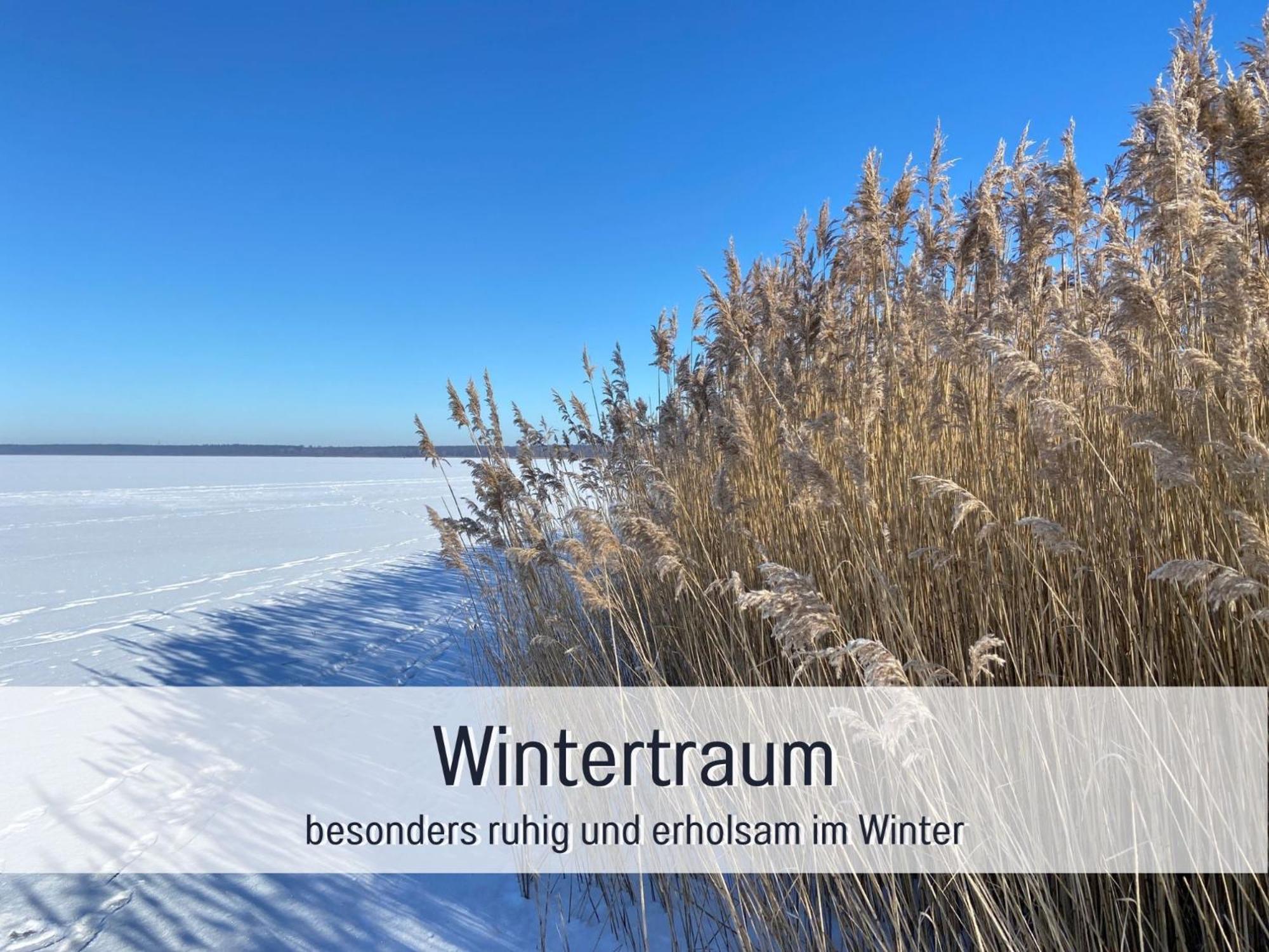 Strandhaus Mathea - Ruhige Lage Direkt Am Fleesensee - Parkplatz, Kamin, Sauna - Familienfreundlich Unter Göhren Exterior foto