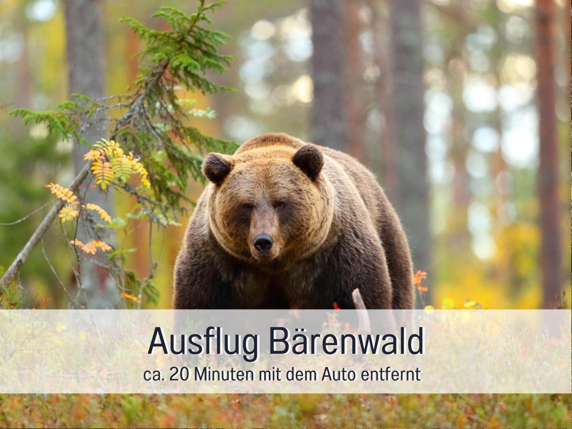 Strandhaus Mathea - Ruhige Lage Direkt Am Fleesensee - Parkplatz, Kamin, Sauna - Familienfreundlich Unter Göhren Exterior foto