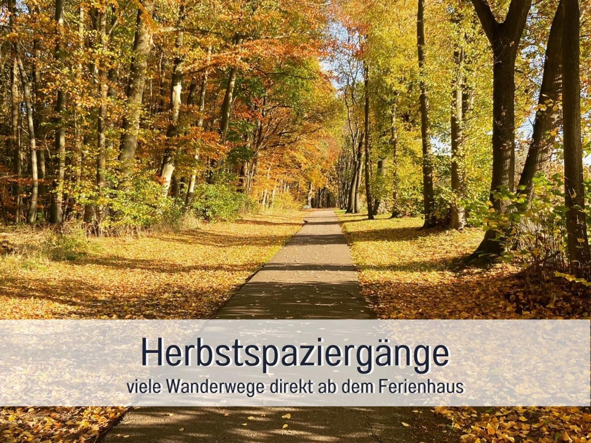 Strandhaus Mathea - Ruhige Lage Direkt Am Fleesensee - Parkplatz, Kamin, Sauna - Familienfreundlich Unter Göhren Exterior foto
